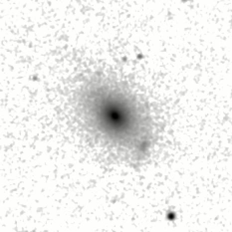 IRSA Image