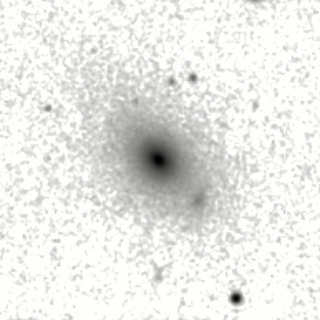 IRSA Image