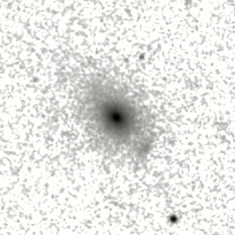 IRSA Image