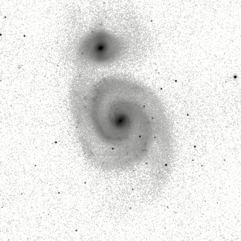 IRSA Image