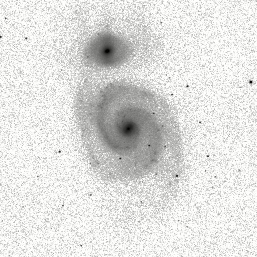 IRSA Image