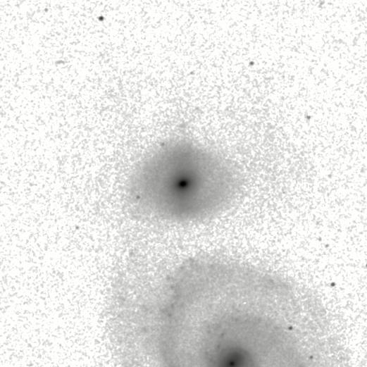 IRSA Image