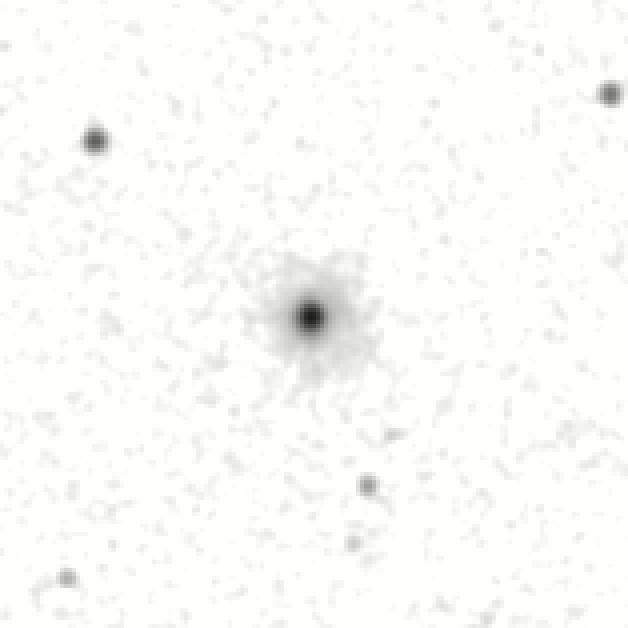 IRSA Image
