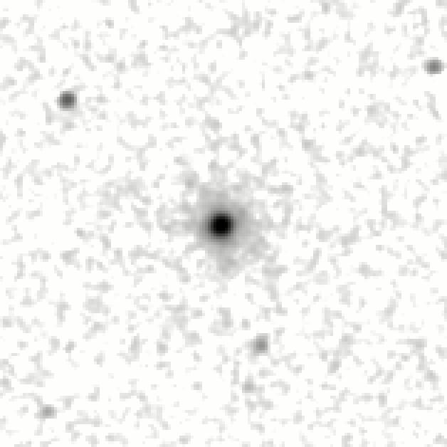 IRSA Image