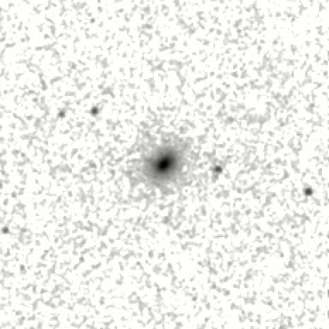 IRSA Image