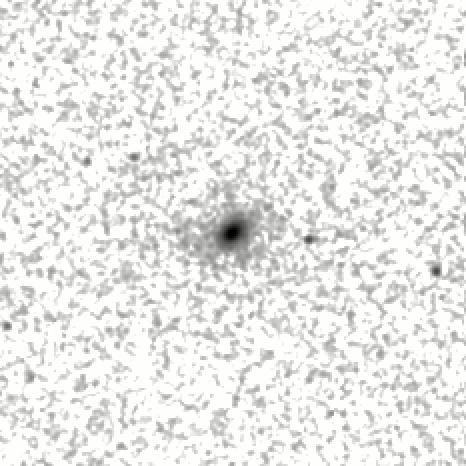 IRSA Image