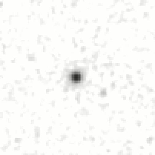 IRSA Image