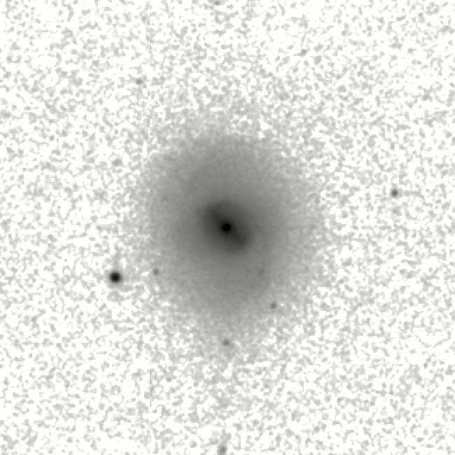 IRSA Image