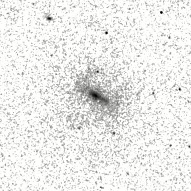 IRSA Image