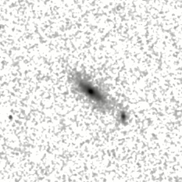 IRSA Image