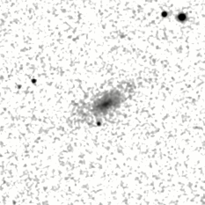 IRSA Image