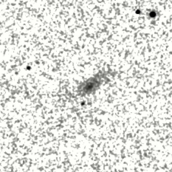 IRSA Image