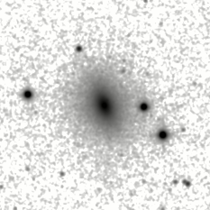 IRSA Image