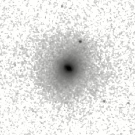 IRSA Image