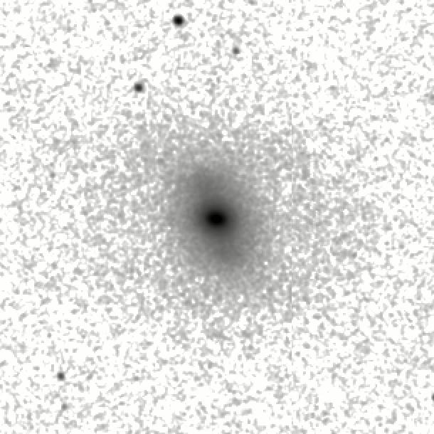 IRSA Image