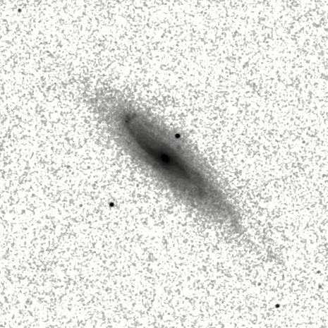 IRSA Image