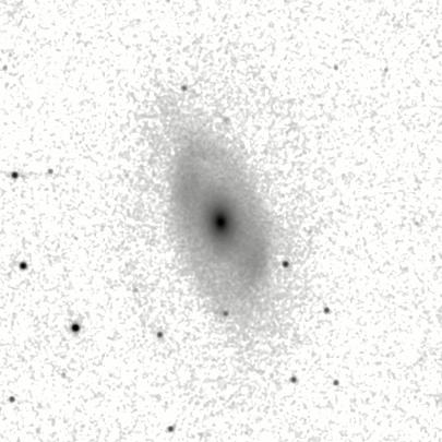 IRSA Image