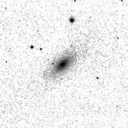 IRSA Image