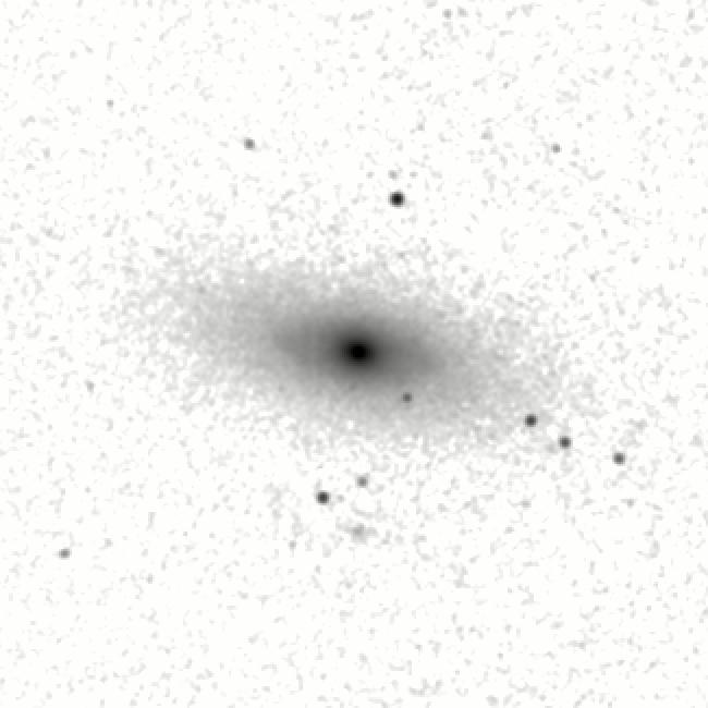 IRSA Image