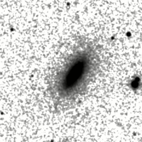 IRSA Image