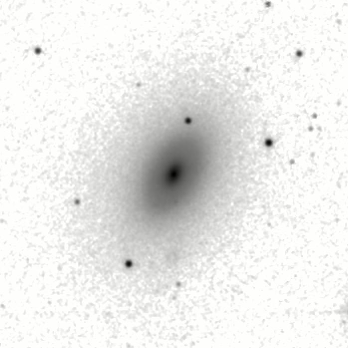 IRSA Image
