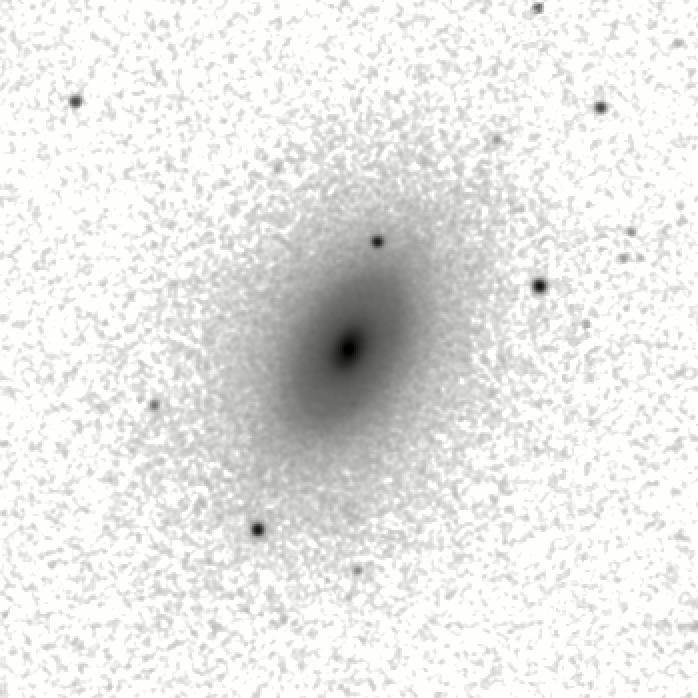 IRSA Image