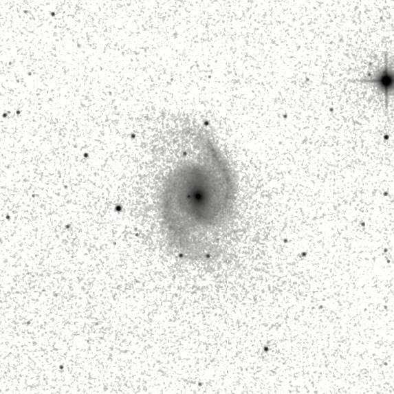IRSA Image