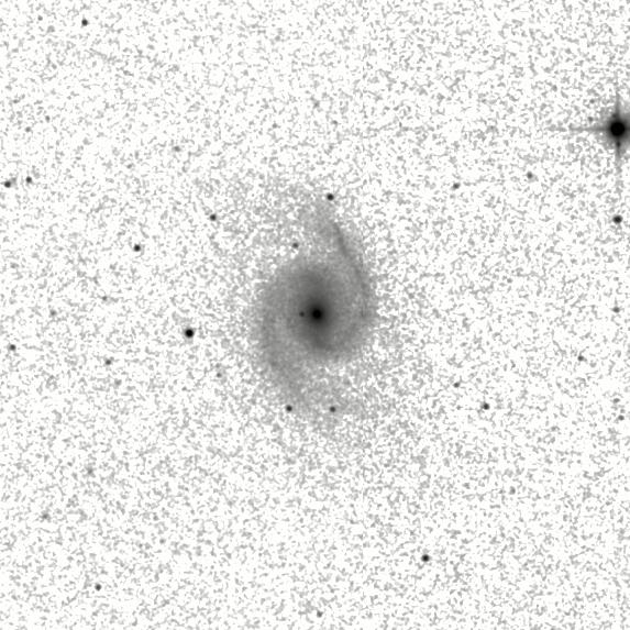 IRSA Image