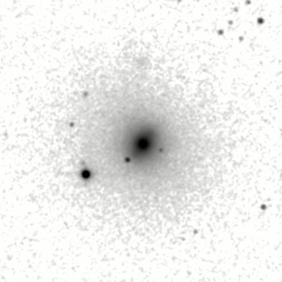 IRSA Image