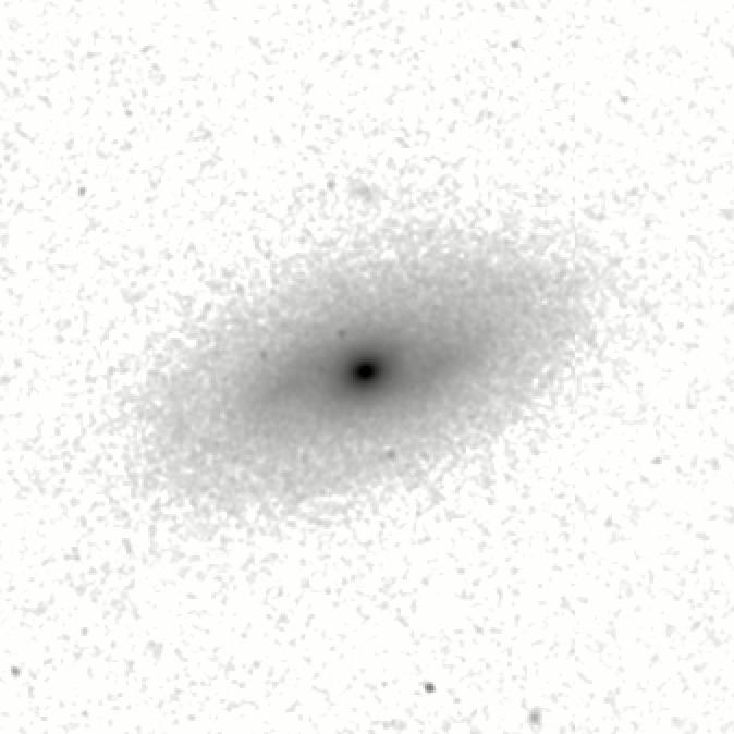 IRSA Image