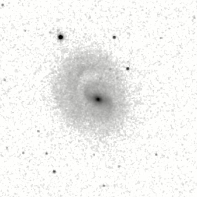 IRSA Image