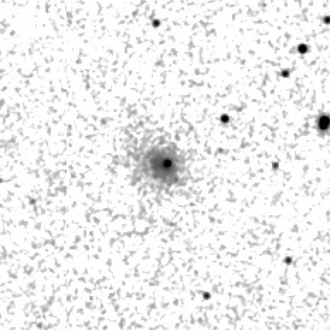 IRSA Image
