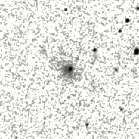 IRSA Image