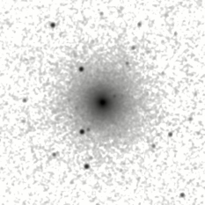 IRSA Image