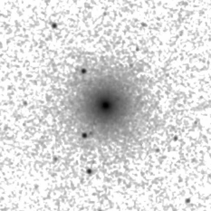 IRSA Image