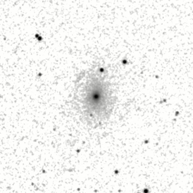 IRSA Image