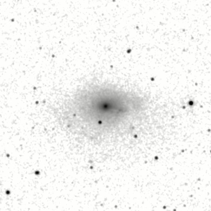 IRSA Image