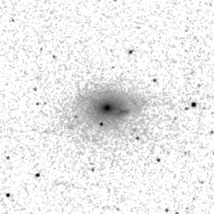 IRSA Image