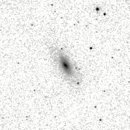 IRSA Image
