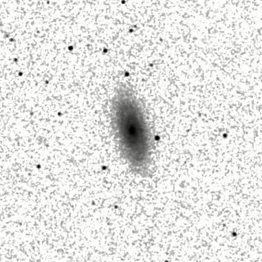 IRSA Image