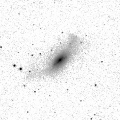 IRSA Image