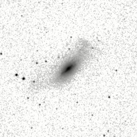 IRSA Image