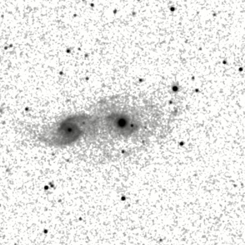 IRSA Image
