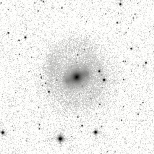 IRSA Image