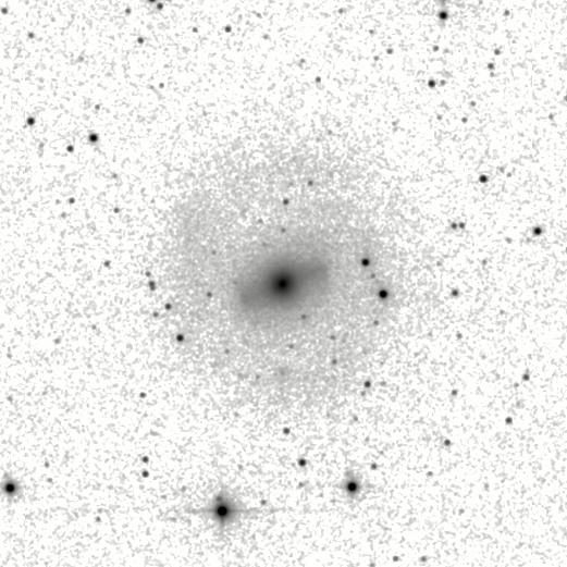 IRSA Image