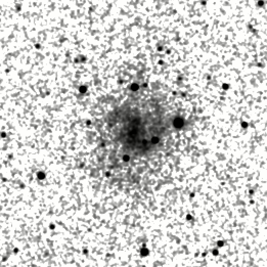 IRSA Image