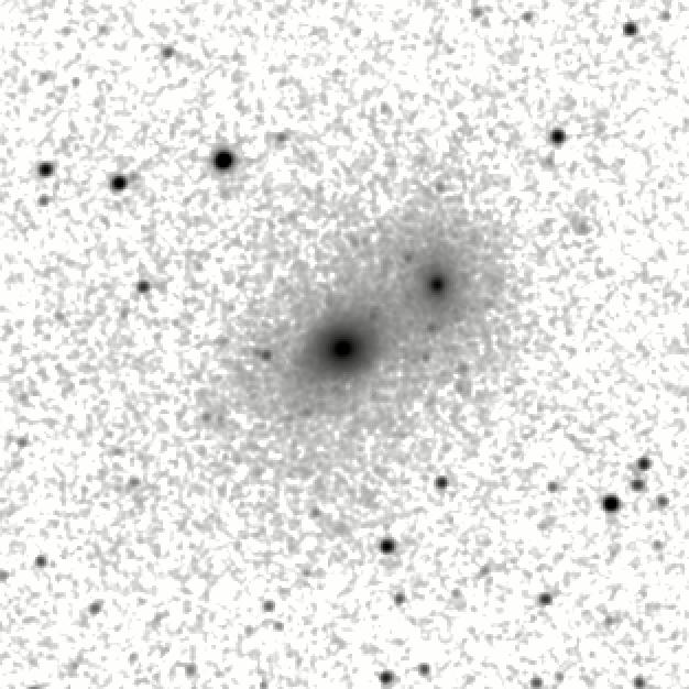 IRSA Image
