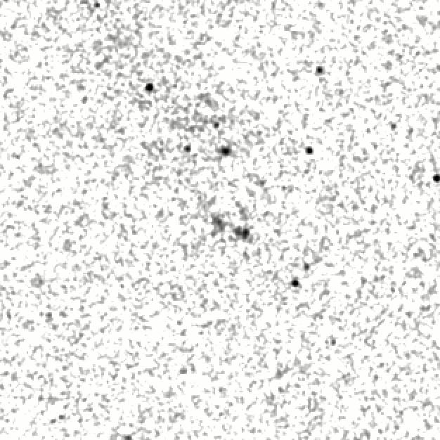IRSA Image