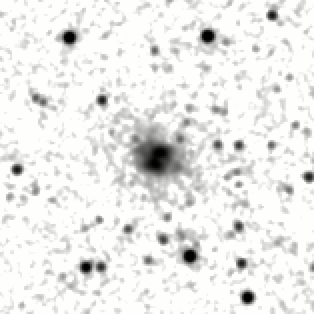 IRSA Image