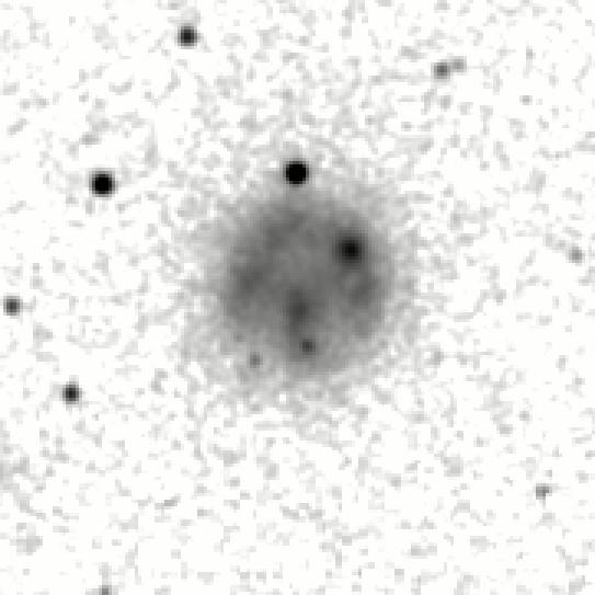 IRSA Image